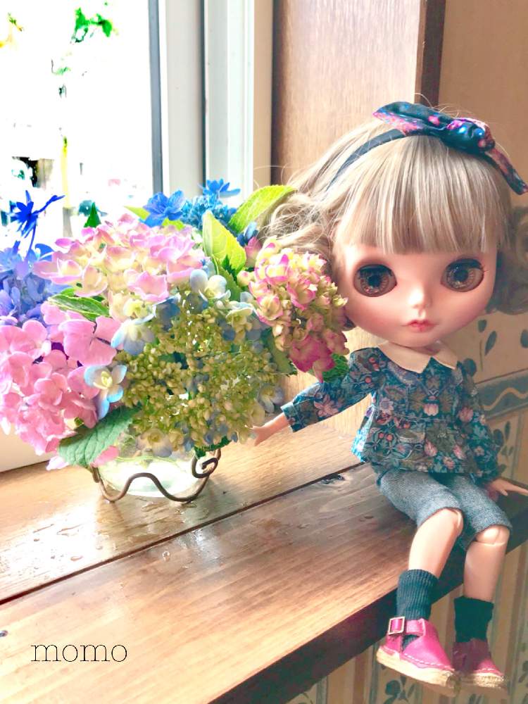 の画像 by momoさん | 紫陽花と花終わりともうすぐ終わりと紫陽花 アジサイ あじさいとブライスと一緒にとcutと『あじさい2019』フォトコンテストと可愛いと花のある暮らし