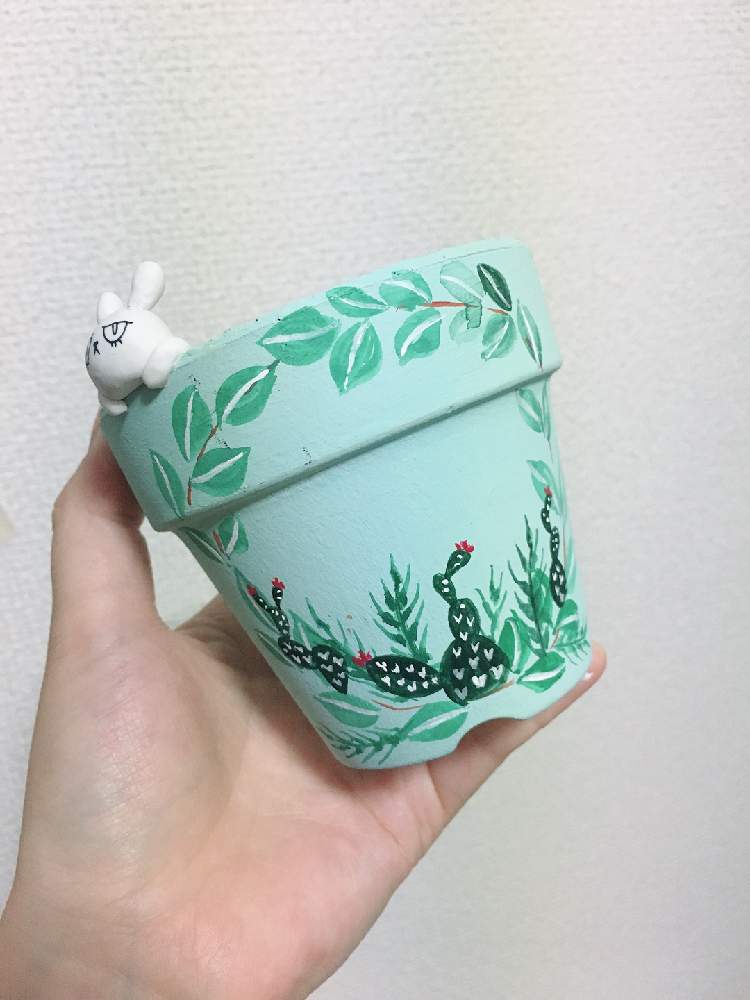 インテリアの画像 by はる succulents forestさん | インテリアと多肉植物 寄せ植えと植物を入れるリメイク鉢と多肉植物と観葉植物と寄せ植えとリメ缶 手作りリメイク缶と植物が好き♡とリメ鉢とハオルシア属 とエケベリア属と多肉女子と❤️いいね、ありがとうとリメ缶・リメ鉢と育てやすい多肉植物とメルカリと花のある暮らしと自作リメ缶とリメイク鉢