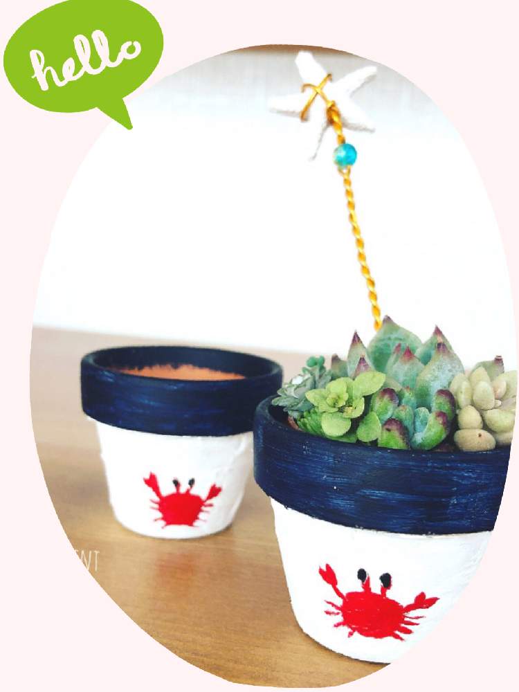 部屋の画像 by Misakiさん | 部屋と桃太郎と多肉植物とSucculentgardenMisakiと多肉大好きと市原市とイベントとお誘いと多肉植物寄せ植えとイベント出店と多肉ワークショップとお知らせとリメ鉢と多肉女子とハンドメイドと多肉植物アレンジメントインストラクターとグリーンアンサンブルとかわいいな♡と千葉タニラーとワークショップ と多肉寄せ植えワークショップとカニとちまちま寄せ