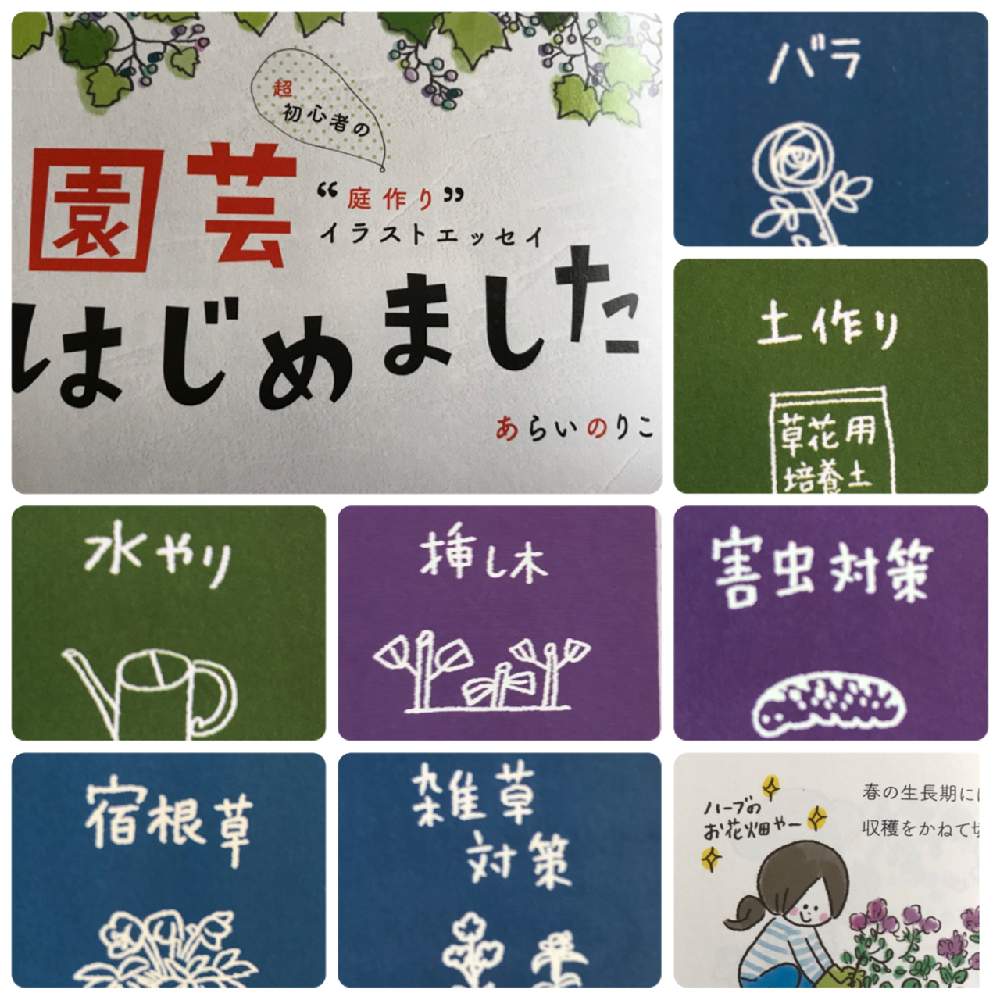 の画像 by じぇにいぽちさん | ガーデニングと花のある暮らしとみどりのある暮らしとうどん県人会