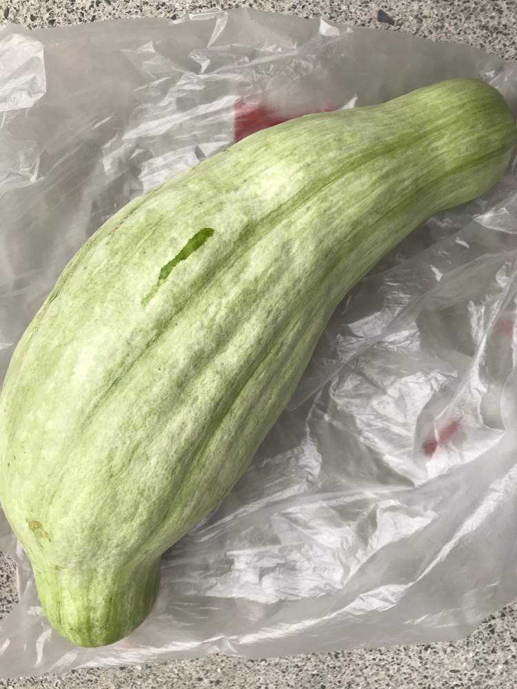 の画像 by ヒロコni nさん | 畑の野菜と夏野菜収穫と畑で収穫、カボチャ