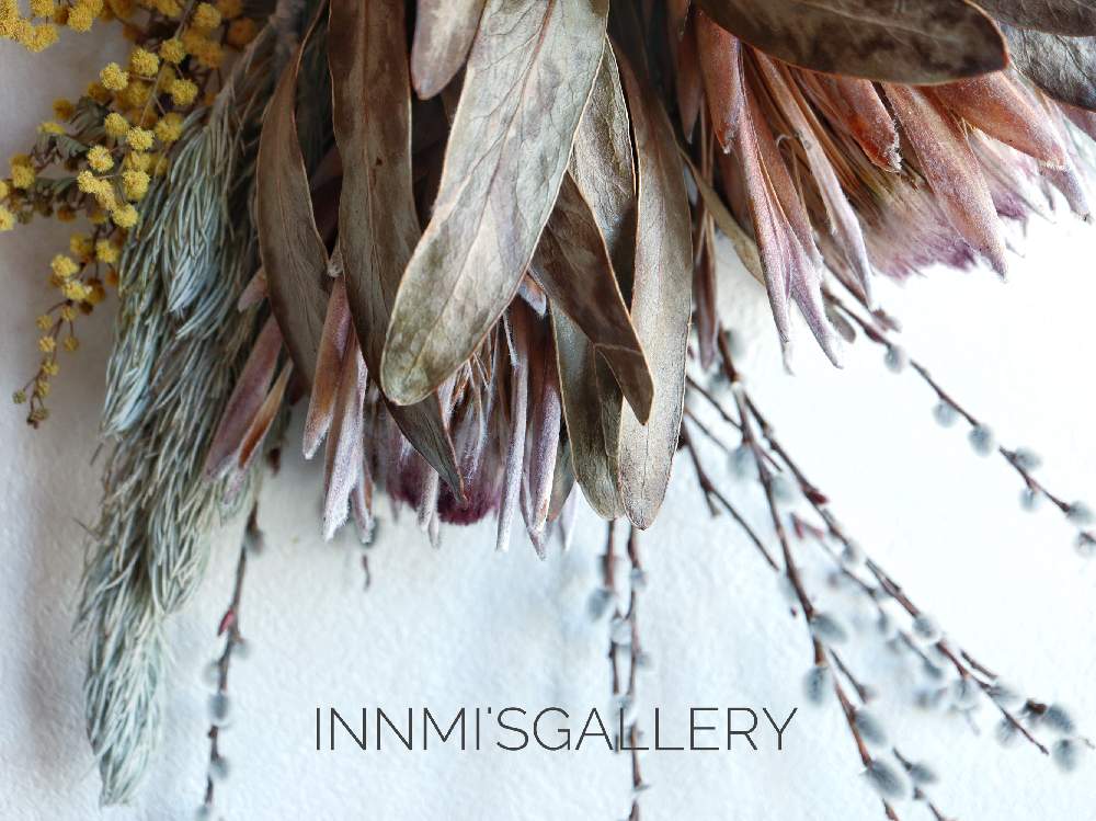 インテリアの画像 by Izumiさん | インテリアとinnmi'galleryとHTCとマダム倶楽部会員No.38と可愛い(*ノωノ)ポッと植物のある暮らしとやるときゃやるわよとCanon EOS M100とhttps://minne.com/innmiと ハイポネックス園芸部とありがとう♡♡とミラーレス一眼と可愛いと花のある暮らしと(ΦωΦ)フフフ…とminneと((๑✧ꈊ✧๑))