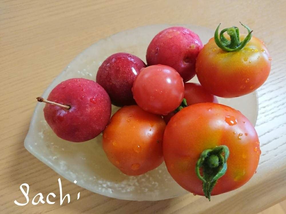 キッチンの画像 by sachiさん | キッチンとトマトとプラムと野菜の花と花のある暮らしと私のお庭