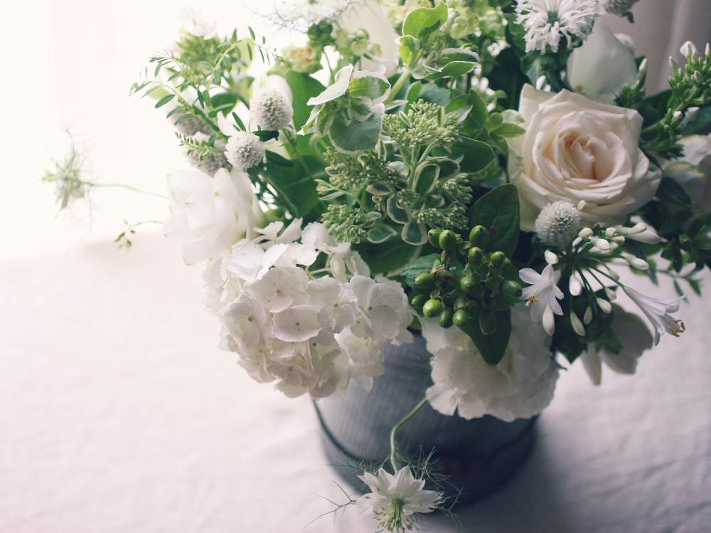 の画像 by cozycozy*さん | 花のある暮らしと植物のある暮らしと癒しのひと時と花のある風景