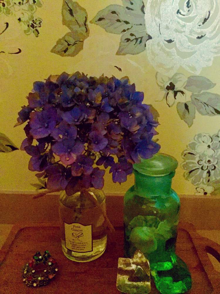 部屋の画像 by hitomin24さん | 部屋と花のある暮らしと一輪の花とブルーの紫陽花