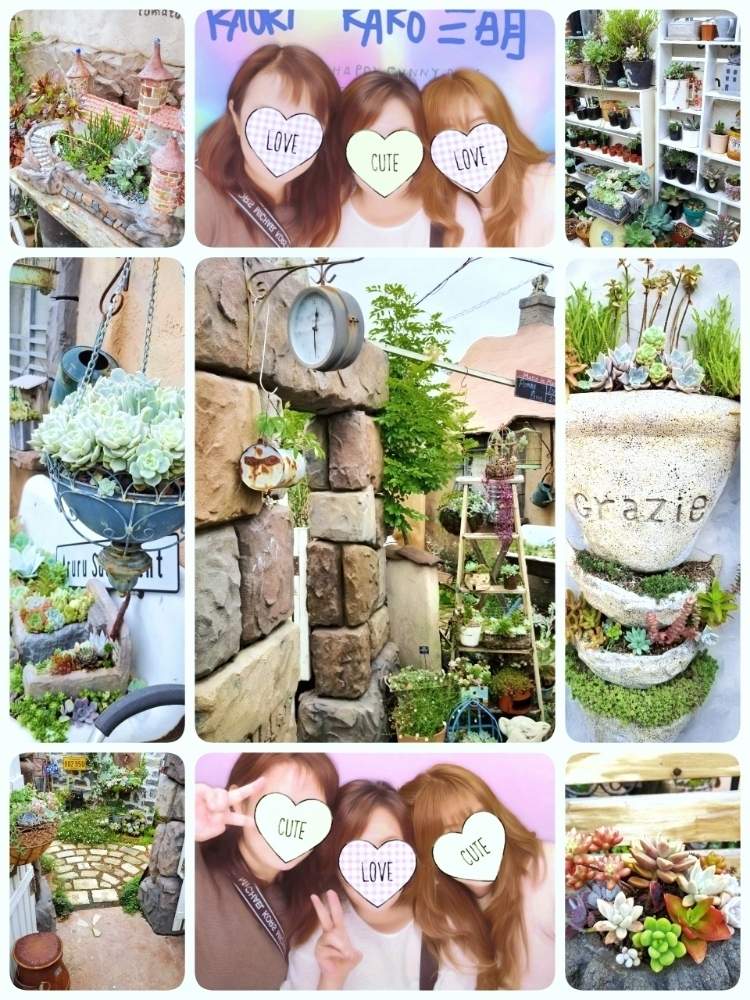お出かけ先の画像 by *☆三日月☆*さん | お出かけ先と多肉植物とHTCと植物のある暮らしと寄せ植えと多肉のある暮らしと雑貨好き♡と多肉女子とリメ缶・リメ鉢とタニラーと韓国苗とお花のある生活と多肉寄せ植えとちまちま寄せ