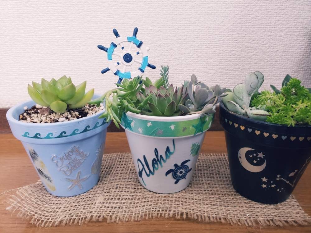玄関の画像 by いいじゅんさん | 玄関と初めての寄せ植えと自作リメイク鉢と多肉女子と初めての多肉植物と群馬県