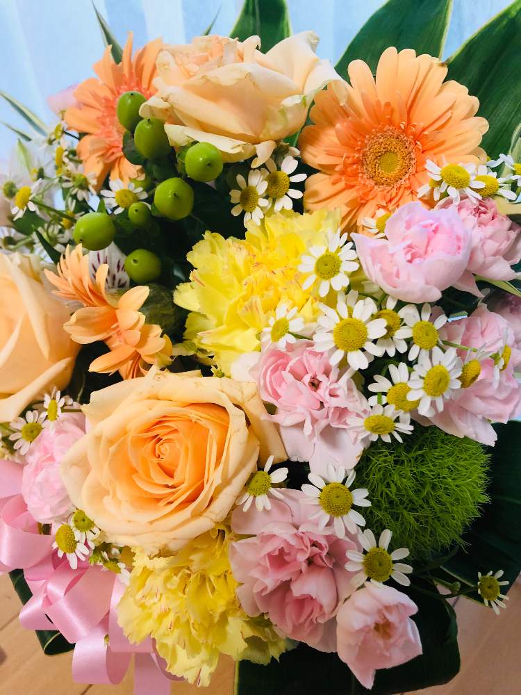 の画像 by Quさん | カーネーションとガーベラとヒペリカムと薔薇とマトリカリア