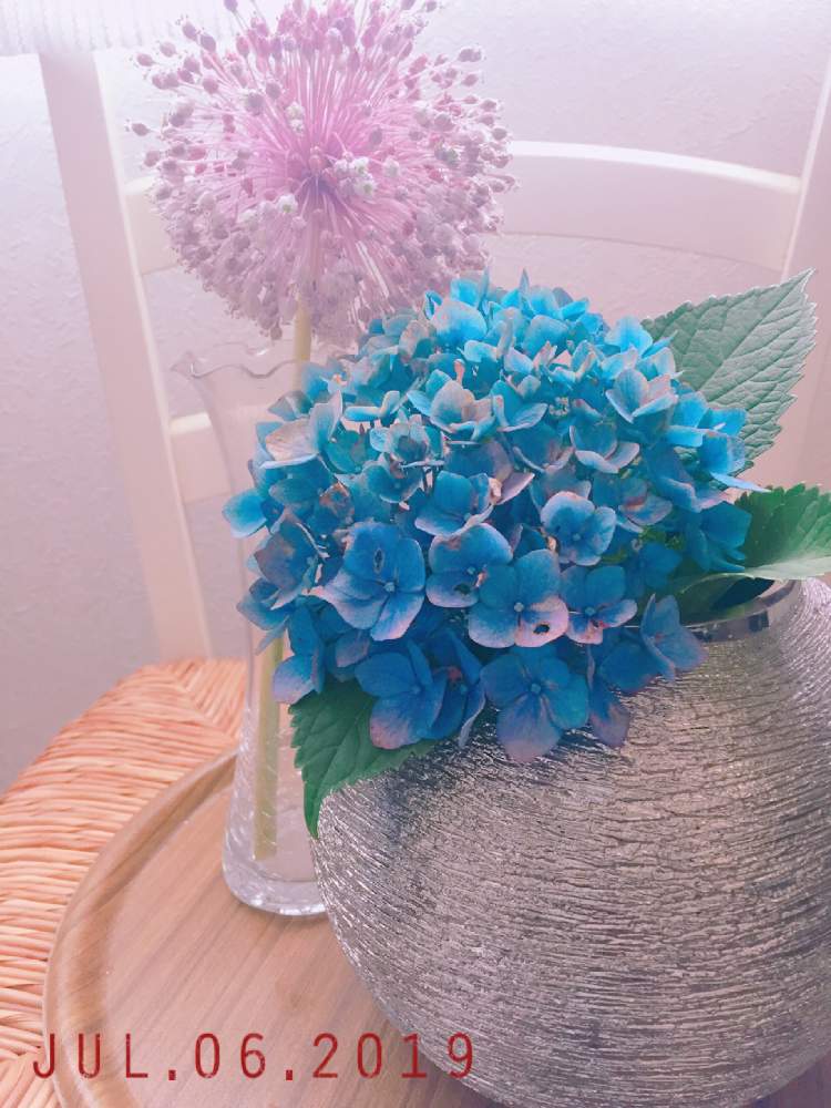 窓辺の画像 by hitomin24さん | 窓辺とブルーの紫陽花とピンク色のお花とアリウムギガンチウム。