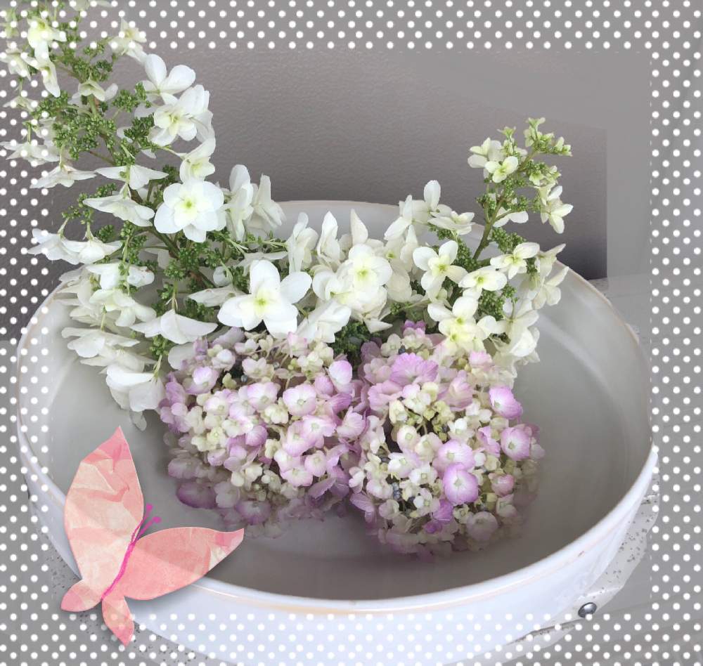 玄関の画像 by ❁まぁ~や❁さん | 玄関と紫陽花と額紫陽花と柏葉紫陽花とお庭を彩るお花・樹木フォトコンとピンク❤︎ピンクとGS映えと花のある暮らしとお花とGREEN UP!としろいはな