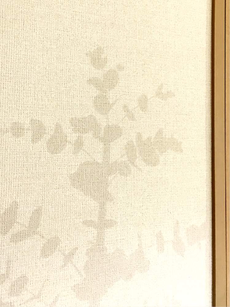 部屋の画像 by モモさん | 部屋