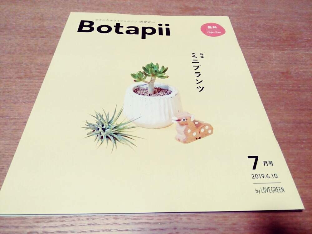 お出かけ先の画像 by Ryota(新垣洋らん園)さん | お出かけ先とメイクマン豊見城店とボタピーと沖縄とボタピー設置店と花のある暮らし