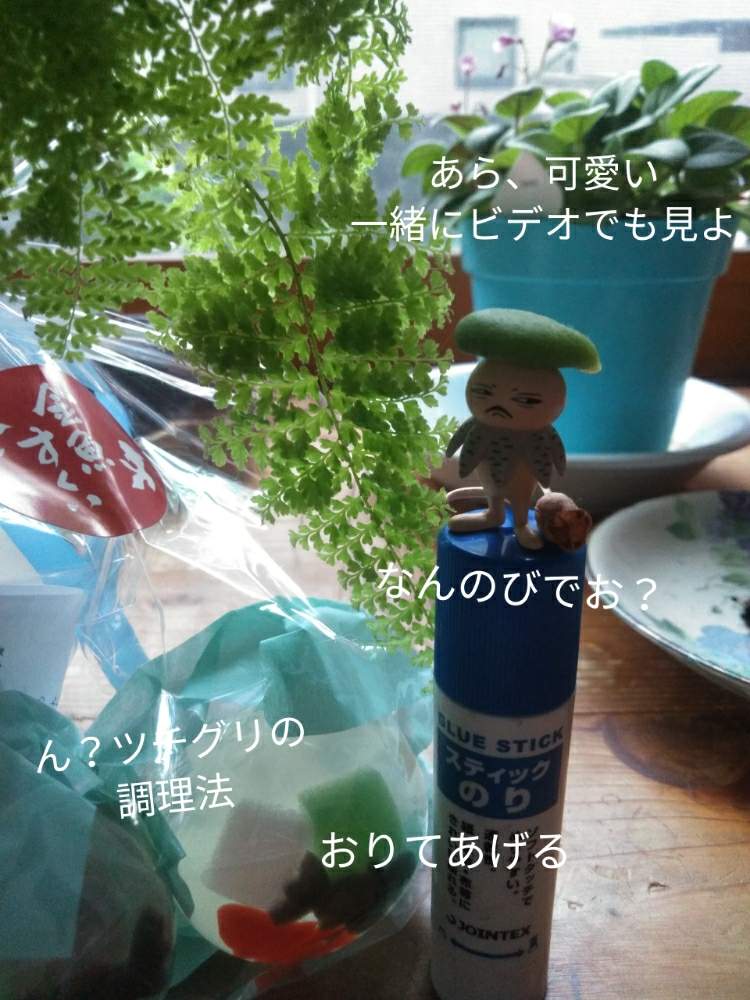 部屋の画像 by きゅうちゃんさん | 部屋とネフロレピス属と観葉植物と素敵便とヒグチユウコフィギュアと普及シダを愛でる会とそばちょこファンとツチグリ研究所とツチグリ坊や