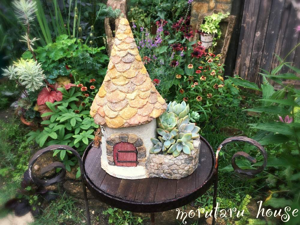 小さな庭の画像 by Jun♡Junさん | 小さな庭とモルタルデコ多肉植物寄せ植えと今日も無事に過ごせます様に❣️とモルタル造形とキュンキュン乙女倶楽部とピンク同盟とジメジメの季節と庭のある暮らしとsucculent so cute ♥️と花のある暮らしと花の16年組♡ととんがり屋根のおうちと夫婦で庭創り♡とこんばんは☆と多肉大好き❤️とJunJun♡ガーデンと記録用とHTC 64