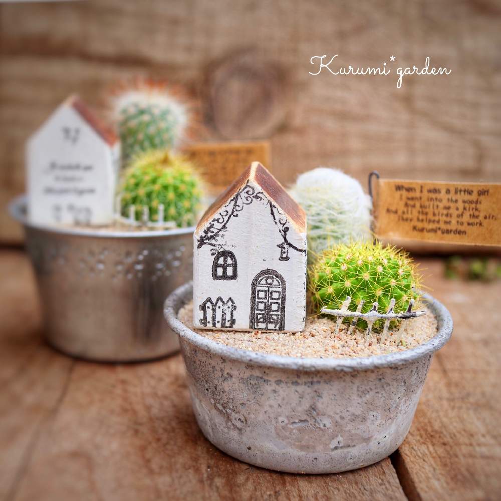 の画像 by くるみ*さん | サボテン寄せ植えと箱庭と箱庭 サボテンと植物のある暮らしと小さな箱庭とグリーンのある暮らしと手のひらガーデンとお誘いと暮らしを楽しむとくるみガーデンとサボテン箱庭とサボテンの寄せ植えとサボテンのある暮らしとフラワービレッジとサボテンワークショップとサボテンWSとサボテンの箱庭とナチュラルスタイルとワークショップ開催予定とKurumi*gardenと赤ちゃんサボテンとワークショップ とミニミニハウス