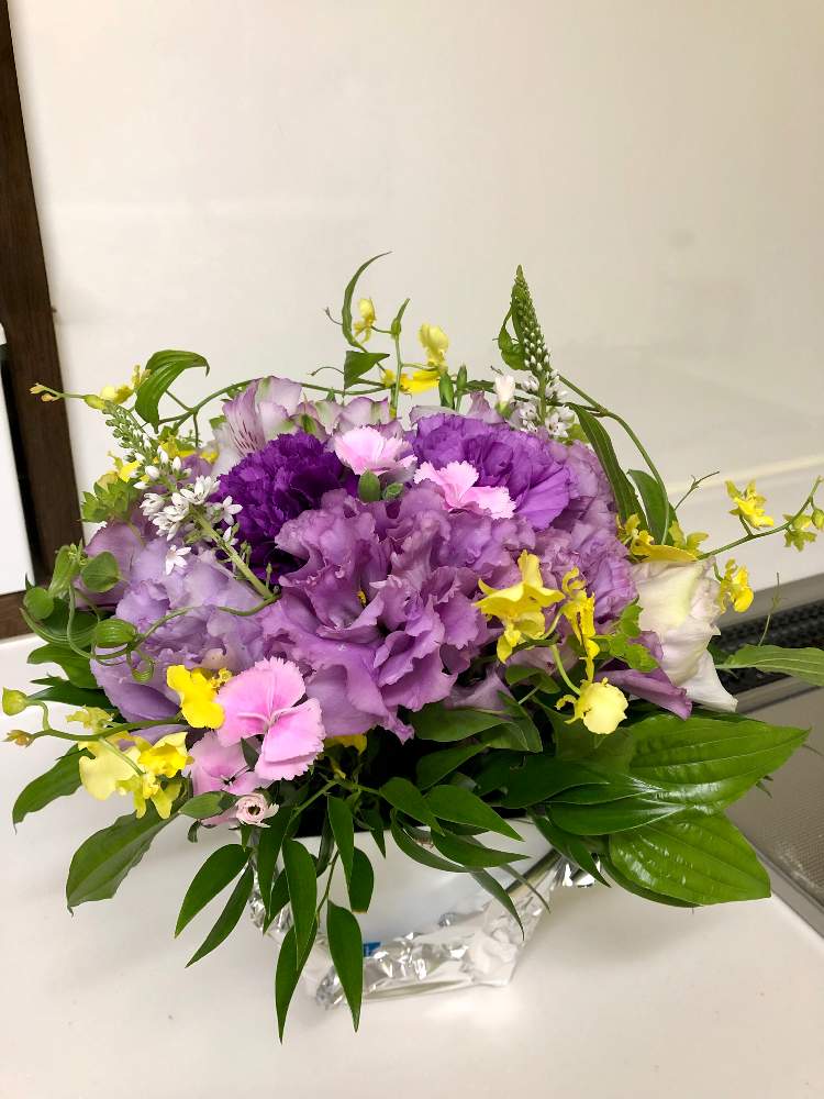 の画像 by andysakuraさん | 花のある暮らしと素敵な1日をと青いカーネーションと花言葉『永遠の幸福』