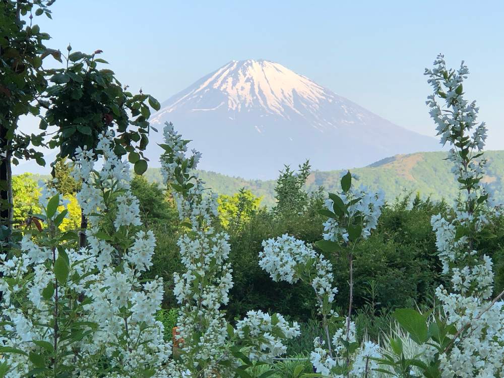 お出かけ先の画像 by アジアンE雑貨さん | お出かけ先と庭園と花のある暮らしと観光地