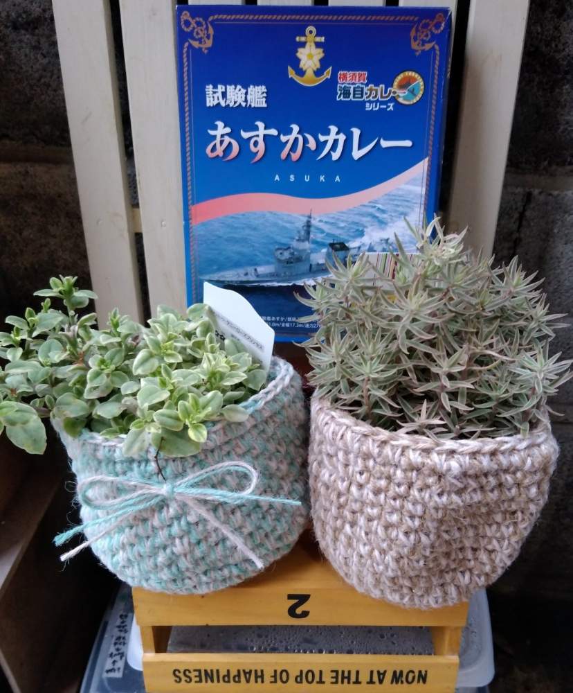 玄関の画像 by asuka0517さん | 玄関と多肉植物とむりやり便とこりゃハマる!と長野県とお日様不足とタニク初心者と繋がりに感謝☆