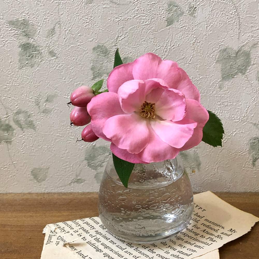 の画像 by オグさん | ばら バラ 薔薇と植中毒と今日の一枚と薔薇が好き❤と花のある暮らしと2番花と薔薇♪とかわいいな♡とバラ・ミニバラ