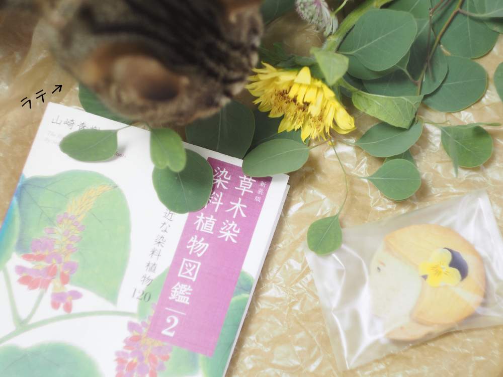 部屋の画像 by だいすけさん | 部屋とユーカリとひまわりとオールドレンズと癒し空間と花のある暮らしとかわいいと切り花とことり花店