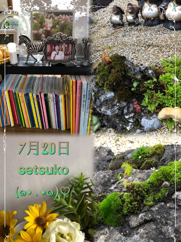の画像 by せっちゃんさん | 小さい紅葉と自宅にてとシマウマプリントと庭の植物とたぬきの置物と花のある暮らし