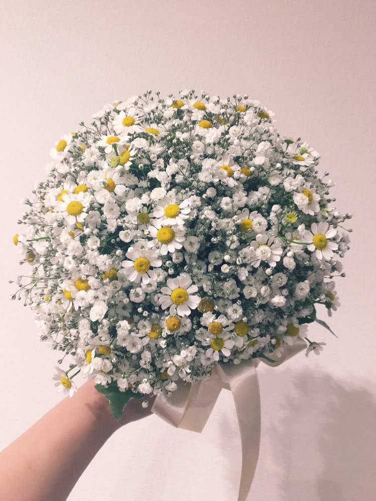 の画像 by まあ◎さん | マトリカリアとかすみ草と花のある暮らし