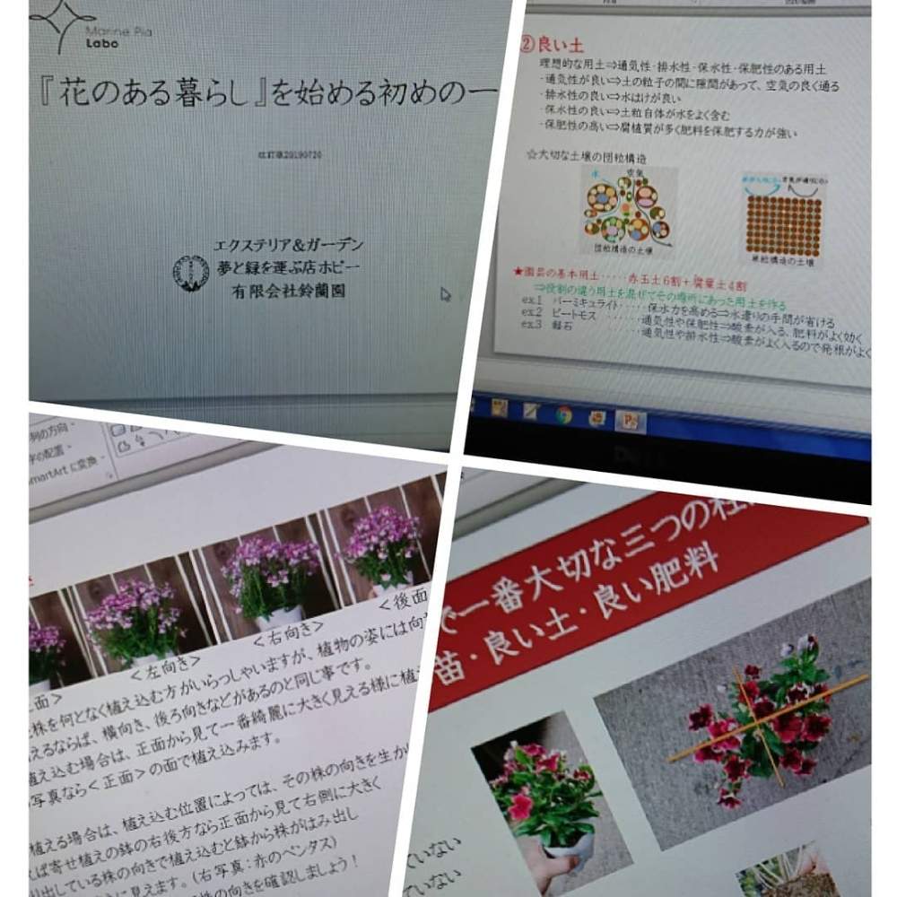 小さな庭の画像 by 夢と緑を運ぶ店ホピー㈲鈴蘭園さん | 小さな庭と植物のある暮らしと寄せ植えとGS映えとGS日和と植中毒とガーデニングと花のある暮らしとマリンピアラボ