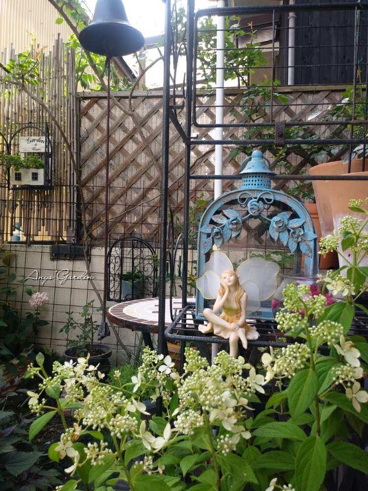 小さな庭の画像 by ANYさん | 小さな庭と庭の風景とコンパクトノリウツギと嬉しいな♡と薔薇に魅せられてと癒しとおきにいり ♡と薔薇のある暮らし♡と紫陽花 アジサイ あじさいとフェアリーガーデンと花のある暮らしと薔薇♪と我が家の妖精ちゃん♡とコンフェッティーとwelcomeベル