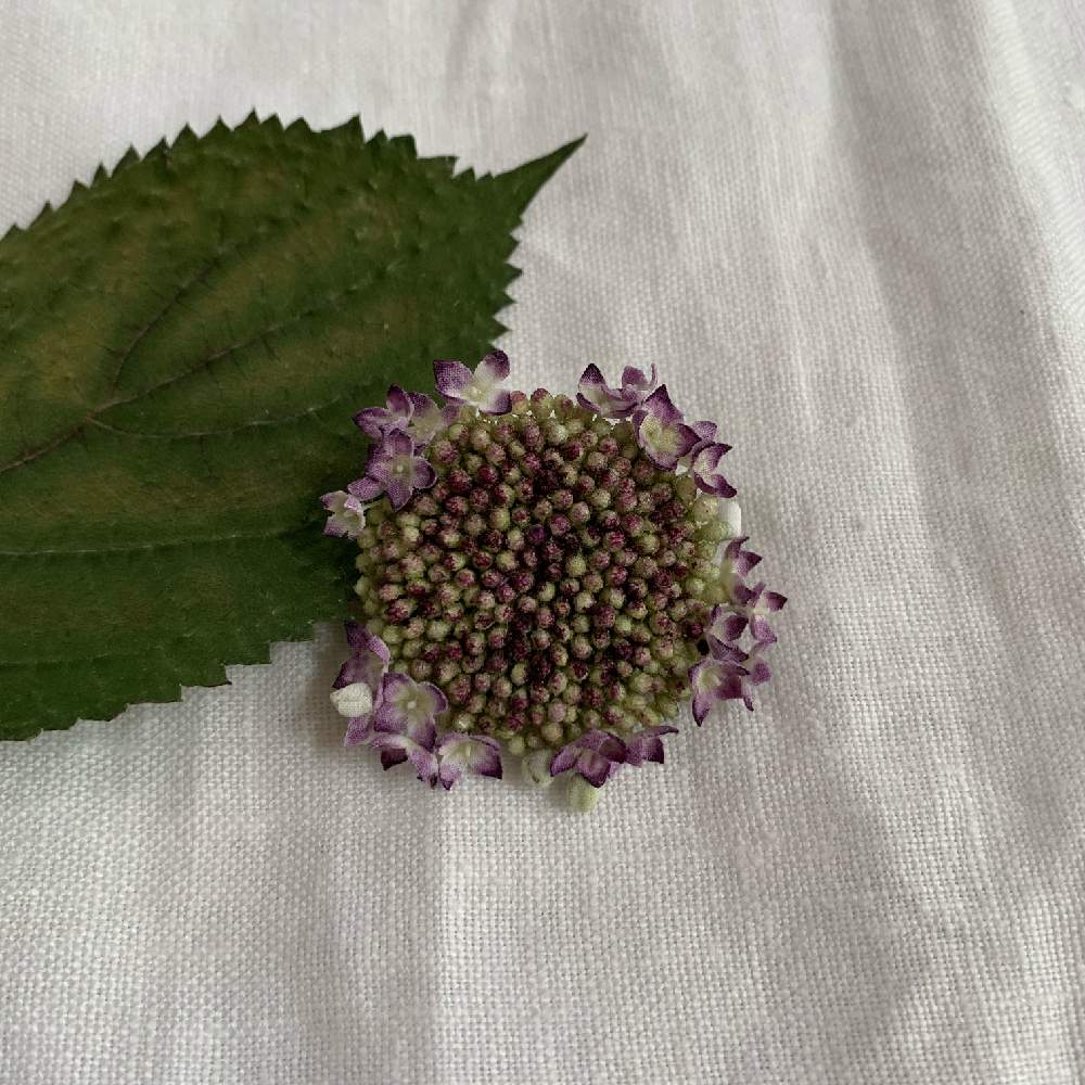の画像 by 布花 詩古さん | 植物のある暮らしとブローチとてづくりと植中毒とアナベル 紫陽花と染め花と布花とハンドメイドとコサージュと布花作家と花のある暮らしとヤマアジサイと布花詩古と染花と作家