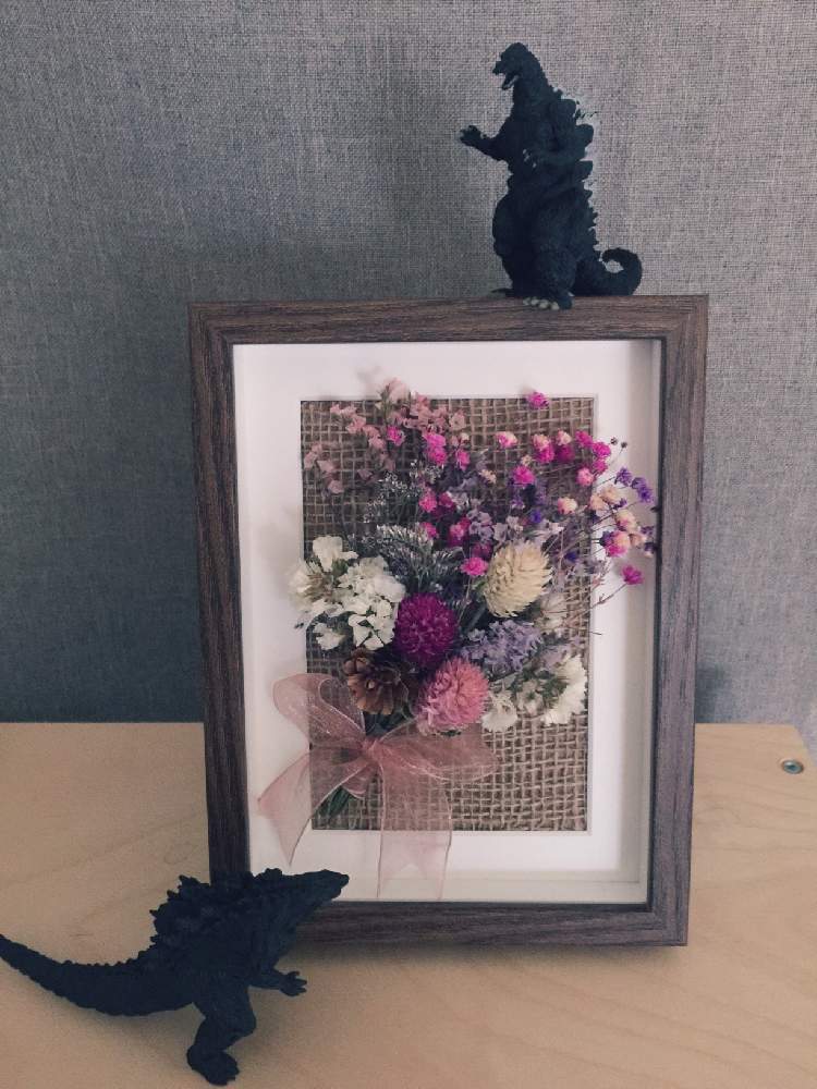 インテリアの画像 by エリザベスさん | インテリアとカスミソウ♡とセンニチコウ ドライとドライフラワーと写真たて。とドライフラワーのある暮らしと額縁ドライフラワーと小さな松ぼっくりとスターチスドライとゴジラとカスミソウのドライ