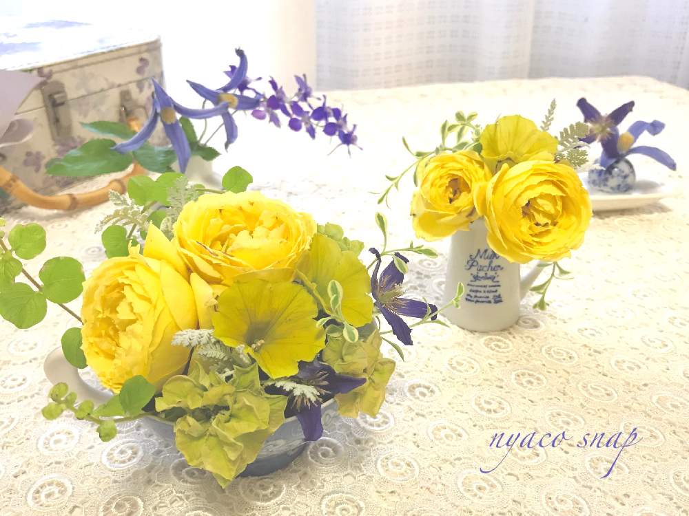 バルコニー/ベランダの画像 by nyacoさん | バルコニー/ベランダとYESイエローと私のローズガーデンinベランダ♬とnyaco’s rose 2019 春 ♡とクレマチス 涼香とバラと暮らすと薔薇愛同盟と薔薇に魅せられてとベランダガーデニングとバラ・切り花品種とカタリナ>とクレマチス☆ヘンダーソニーとまっちゃラテとバラが好きと花のある暮らしと薔薇♪とばら 薔薇 バラとバラ・ミニバラとベランダでバラを♬と庭の花を飾るとバルコニスト
