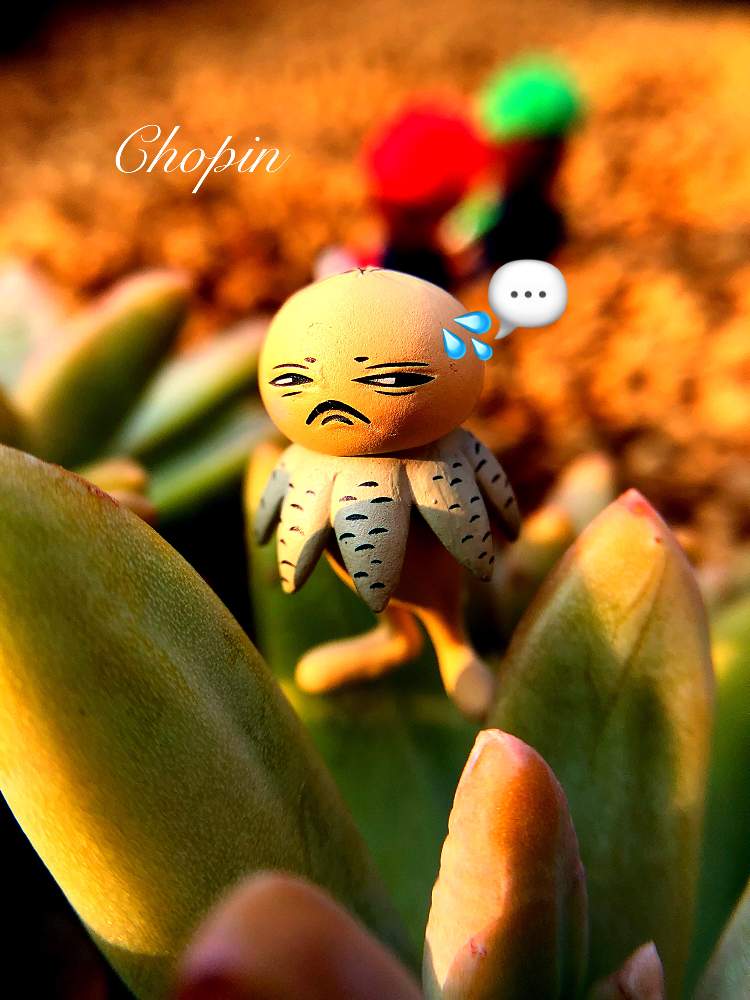の画像 by Chopin(ショパン)さん | 夕焼けとヒグチユウコフィギュアとマイガーデンと夕日とナチュラルガーデンとスーパーマリオとタニク男子と植物とフィギュアと多肉とフィギュアと秋麗♪とGSコラボとナチュラルスタイルとgreenと秀麗(シュウレイ)とツチグリ坊やとタニクちゃんとiPhone撮影