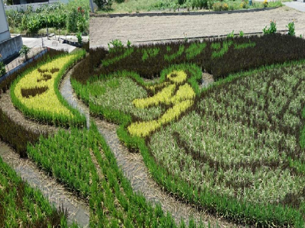 お出かけ先の画像 by ふくちゃんさん | お出かけ先と田んぼアートと水田とうどん県人会