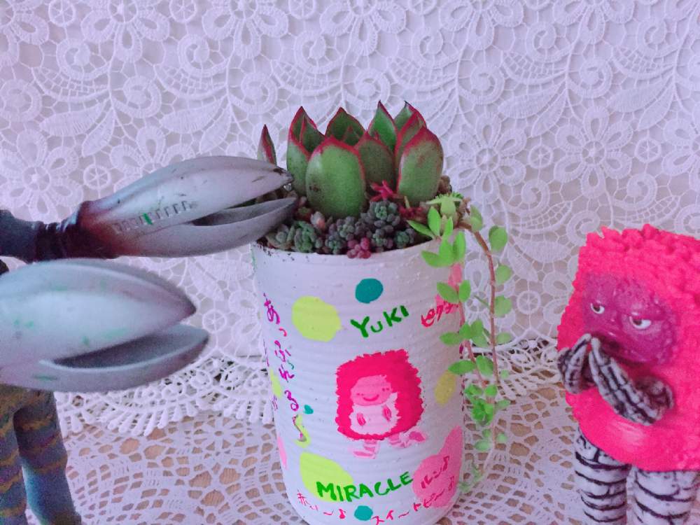 の画像 by Y._.Y-Y(ಠ_ಠ̵̵̀)Y-Y._.Yさん | 素敵便とほぼ、毎日ピグモンだモン♬とピグモンと歌おぅ2019♪ともったいブル(*´pq`*)とvバルタン星人vとピグとバル 2人の夏物語❤︎