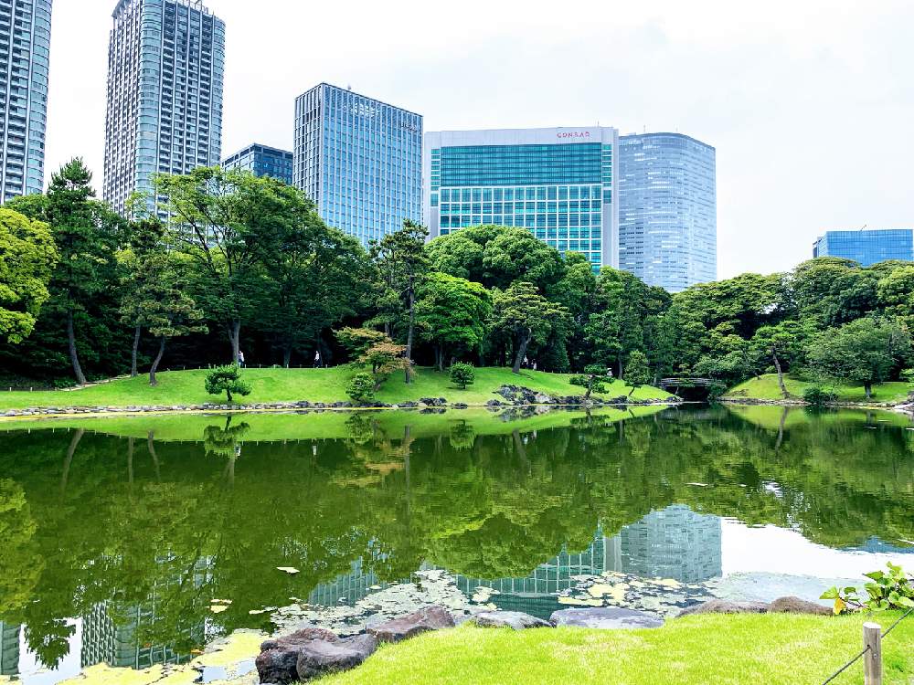 お出かけ先の画像 by チャーさん | お出かけ先と日本庭園と浜離宮恩賜庭園と池泉回遊式庭園と海水の池とあつさにまけないでと里山歩きとチャーさんの 里山歩きとチャーさんのリポート