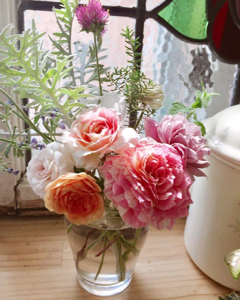 キッチンの画像 by Mの森さん | キッチンとHTCとお庭のお花を飾ると薔薇愛同盟と植中毒とお庭のお花でアレンジとクロード・モネと花のある暮らしとMの森の薔薇2019とロザリアン