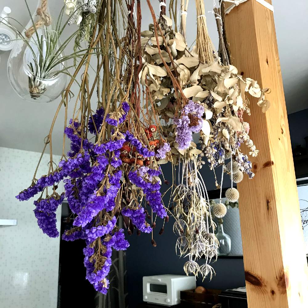 部屋の画像 by SPOONさん | 部屋とドライフラワーと花のある暮らし