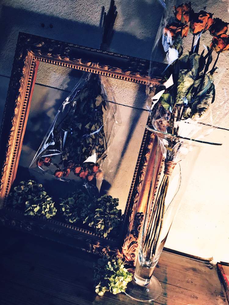 インテリアの画像 by tanitenさん | インテリアとインドアグリーンと植物のある暮らしとドライフラワーとジャンクとアンティークとドライとGS映えと花のある暮らしと古道具と渋谷とディスプレイとインテリアグリーン