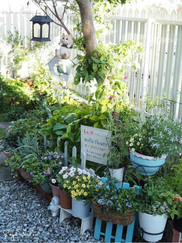 小さな庭の画像 by さやさん | 小さな庭と植物のある暮らしとお気に入りの場所とお気に入り♡と雑貨と鉢植えとガーデニングと夕方撮影と花のある暮らしとかわいいな♡と夏でも元気と癒しの場所