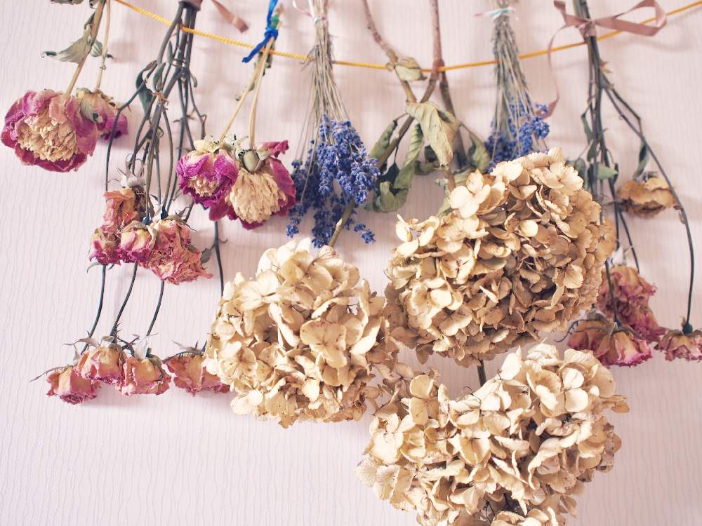 部屋の画像 by じゅん♪さん | 部屋とラベンダーと紫陽花と薔薇と芍薬とドライフラワーと花のある暮らし