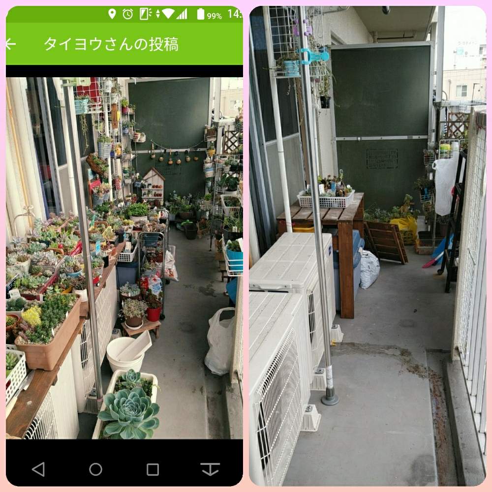バルコニー/ベランダの画像 by タイヨウさん | バルコニー/ベランダと多肉大好きとタニラーとたにおたくらぶ