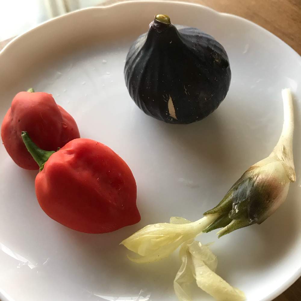 キッチンの画像 by Half moon さん | キッチンと収穫物とプチ家庭菜園と家庭菜園と今日の収穫♪と家庭菜園奮闘日記