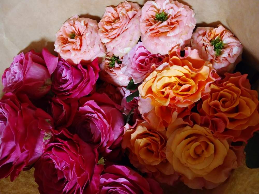 インテリアの画像 by うさぎさん | インテリアとお花屋さん♪と薔薇さん♪と癒し系とバラ♪と花のある暮らし