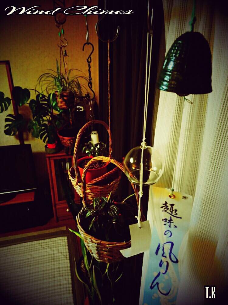 窓辺の画像 by T.Kさん | 窓辺と観葉植物を楽しむと観葉植物と植物男子と窓際緑化と風鈴と風鈴まつりと窓際