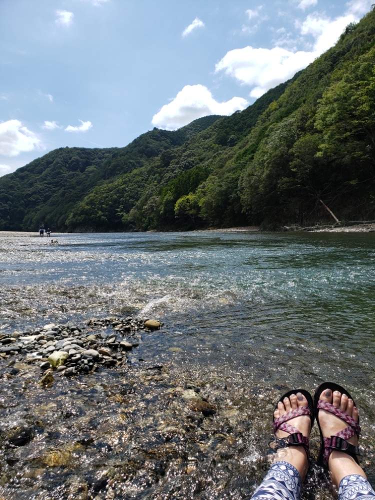 お出かけ先の画像 by miyabinさん | お出かけ先と川遊びと和歌山と川の水は凍えるほど冷たいねと大自然と日置川と花のある暮らし