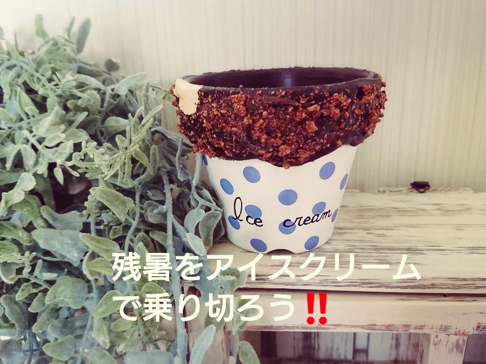 インテリアの画像 by aikoooooさん | インテリアと多肉中毒と多肉植物とGS映えとアイスクリーム鉢と多肉植物のある暮らしと多肉女子とリメ缶・リメ鉢と多肉寄せ植え
