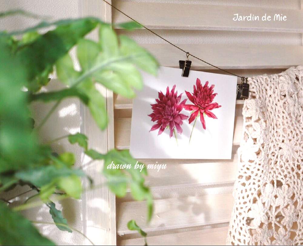 寝室の画像 by mie✳︎さん | 寝室と観葉植物とボタニカルライフとありがとう❤️とボタニカルアートと植物画と多肉女子と癒されると可愛いとダリア☆