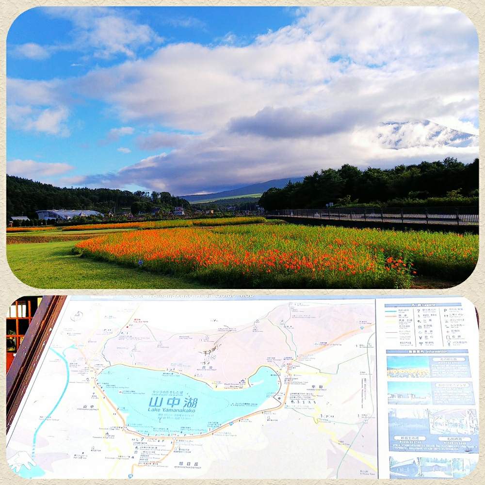 お出かけ先の画像 by lucky514さん | お出かけ先と富士山と8月とGS映えとGS日和と旅行先とマルプーラッキー散歩と花の都公園と花のある暮らしとお散歩