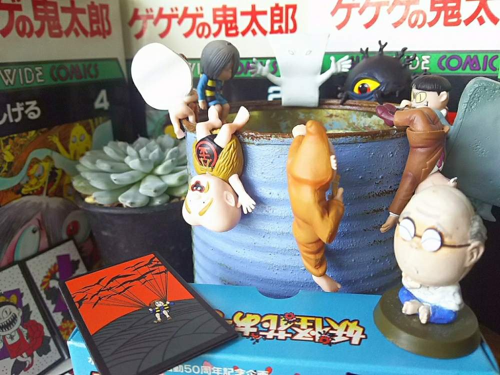 部屋の画像 by アコウテさん | 部屋とザラゴーサとゲゲゲファミリーと植欲旺盛と植中毒とエケベリア属と多肉初心者