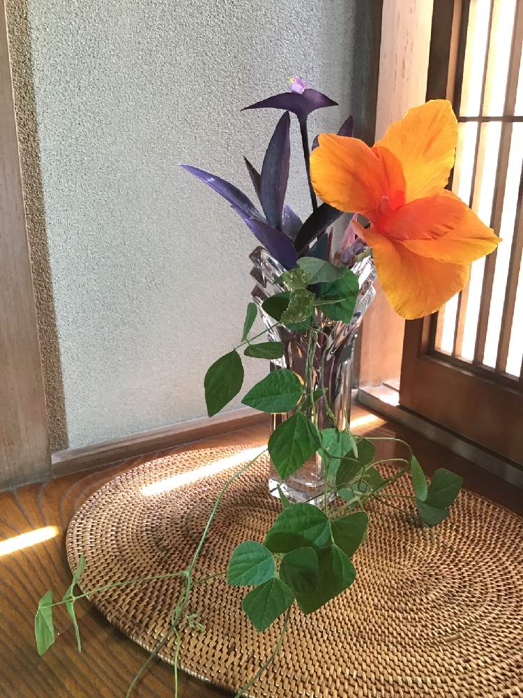 和室の画像 by うたちゃんさん | 和室と小さな アレンジとGS映えとGS日和とカンナ。と花のある暮らし